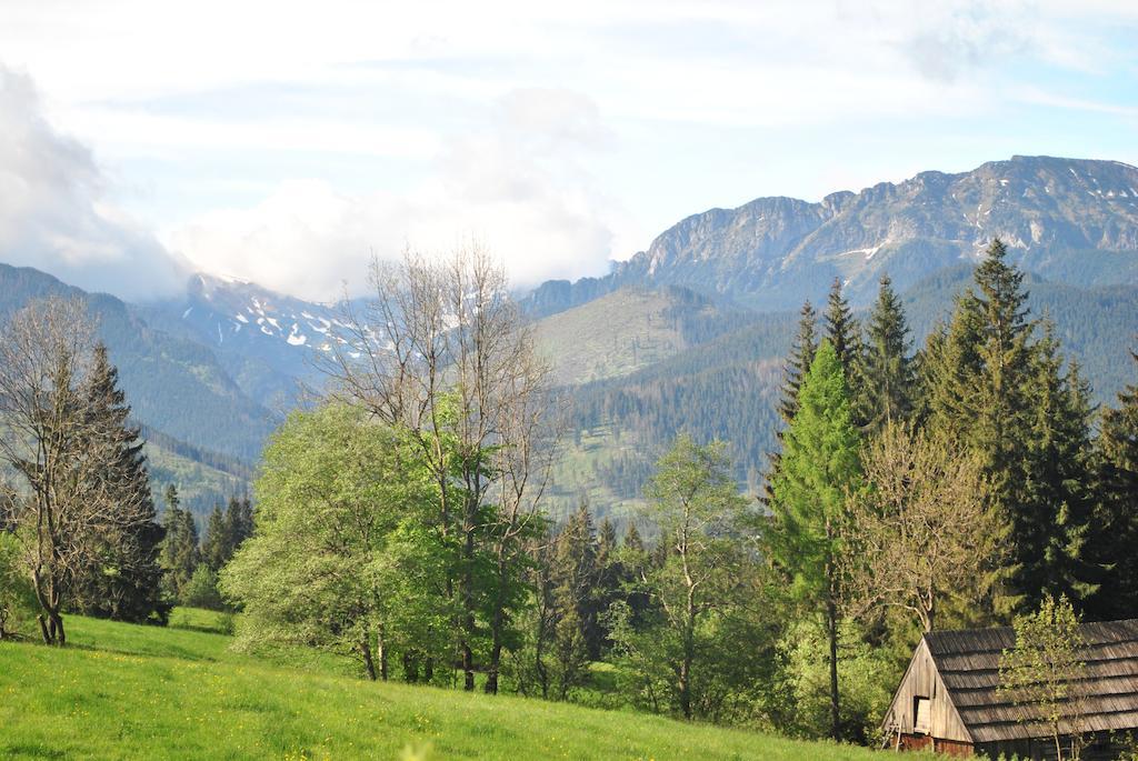 Apartamenty Carpe Diem Kościelisko Dış mekan fotoğraf