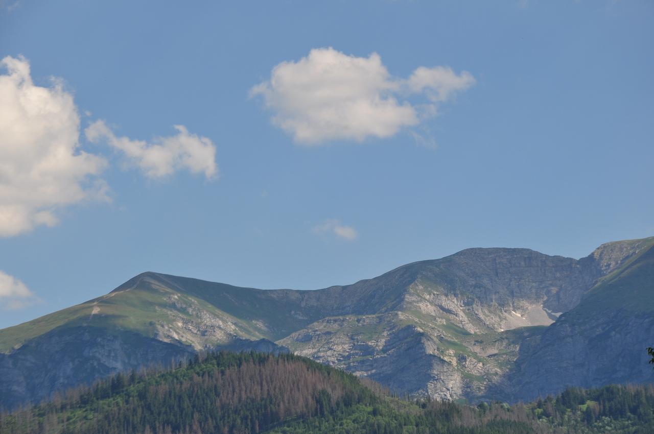 Apartamenty Carpe Diem Kościelisko Dış mekan fotoğraf